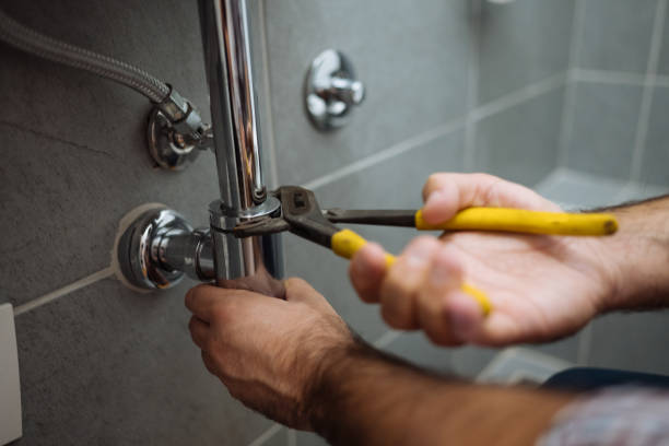 Best Plumbing Inspection Services  in Energy, IL